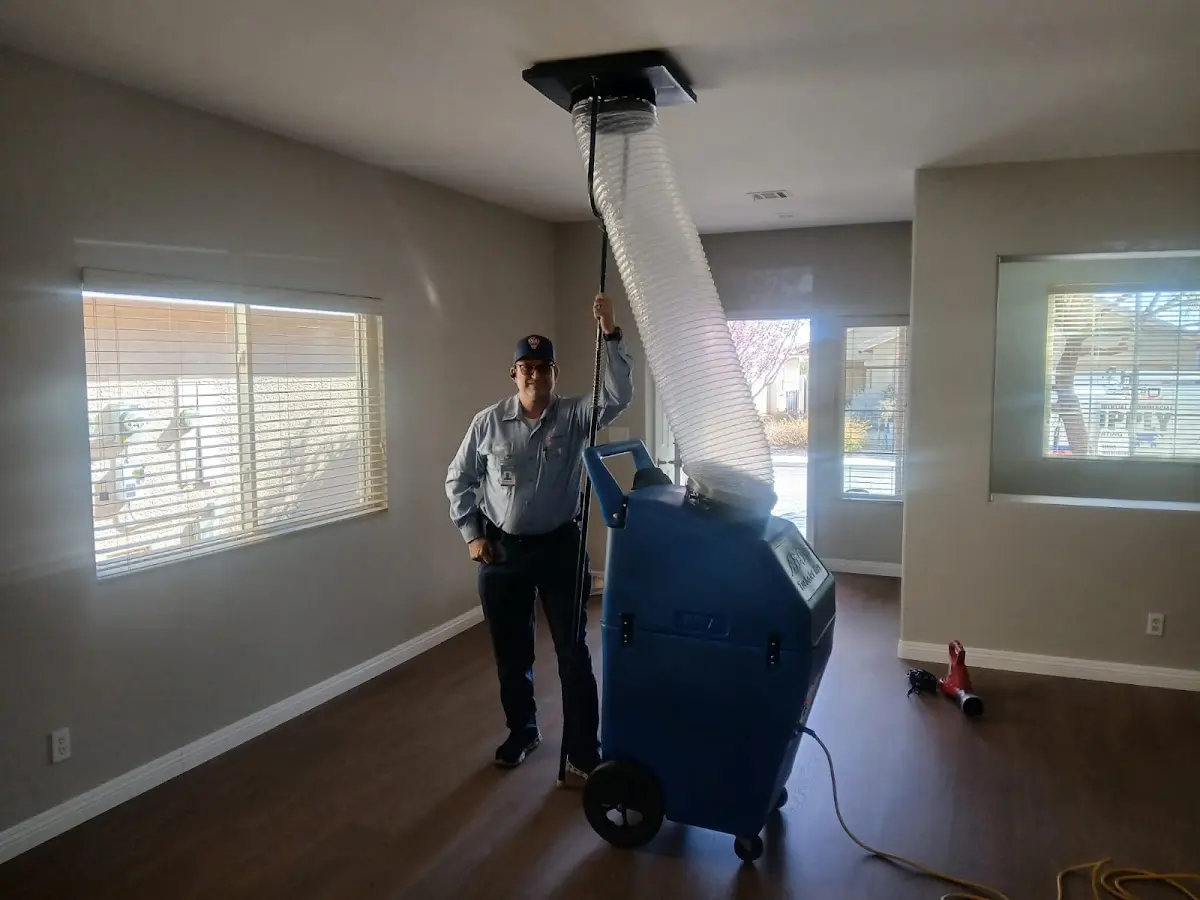 Professional Dryer Vent Cleaning work inside a Sea Cliff home